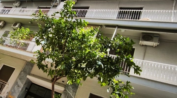 Το διαμέρισμα όπου εντοπίστηκε το νεκρό βρέφος στην Κυψέλη