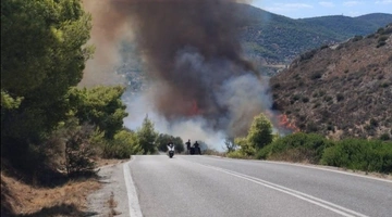 φωτια σαλαμινα