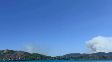 φωτια σαλαμινα