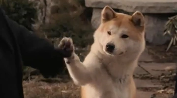 Hachiko: A Dog's Story