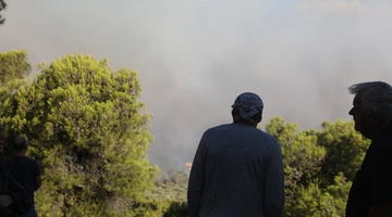 Φωτιά στη Βοιωτία