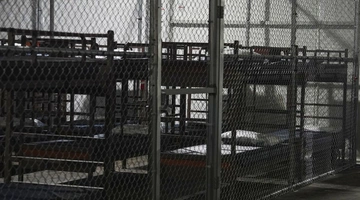 alligator_alcatraz