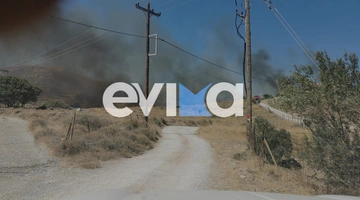 φωτια καρυστο