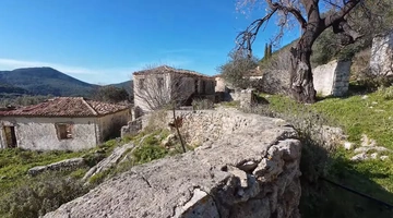 Πέστανη