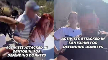Η επίθεση στις ακτιβίστριες της PETA